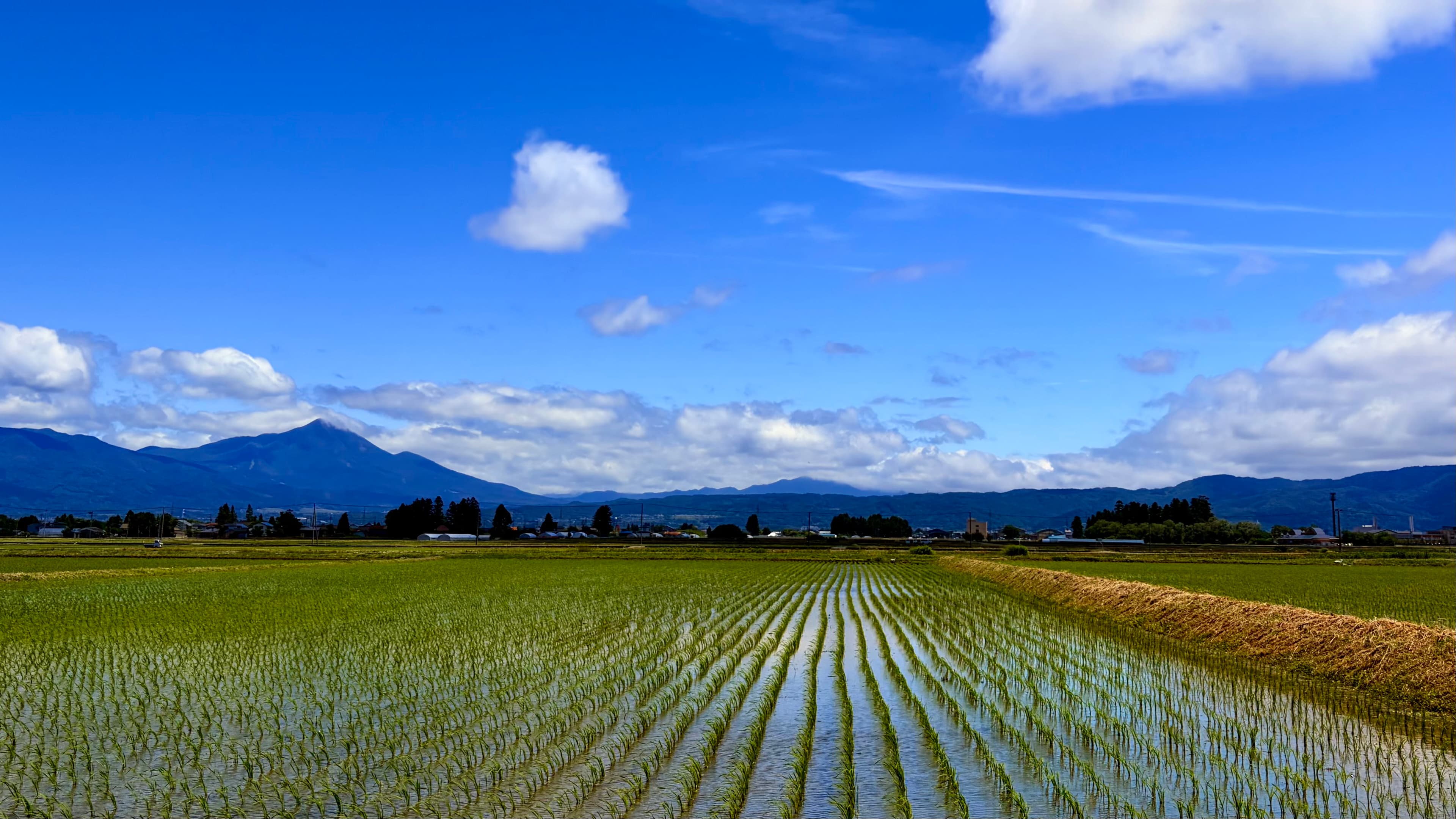 会津の田んぼ風景