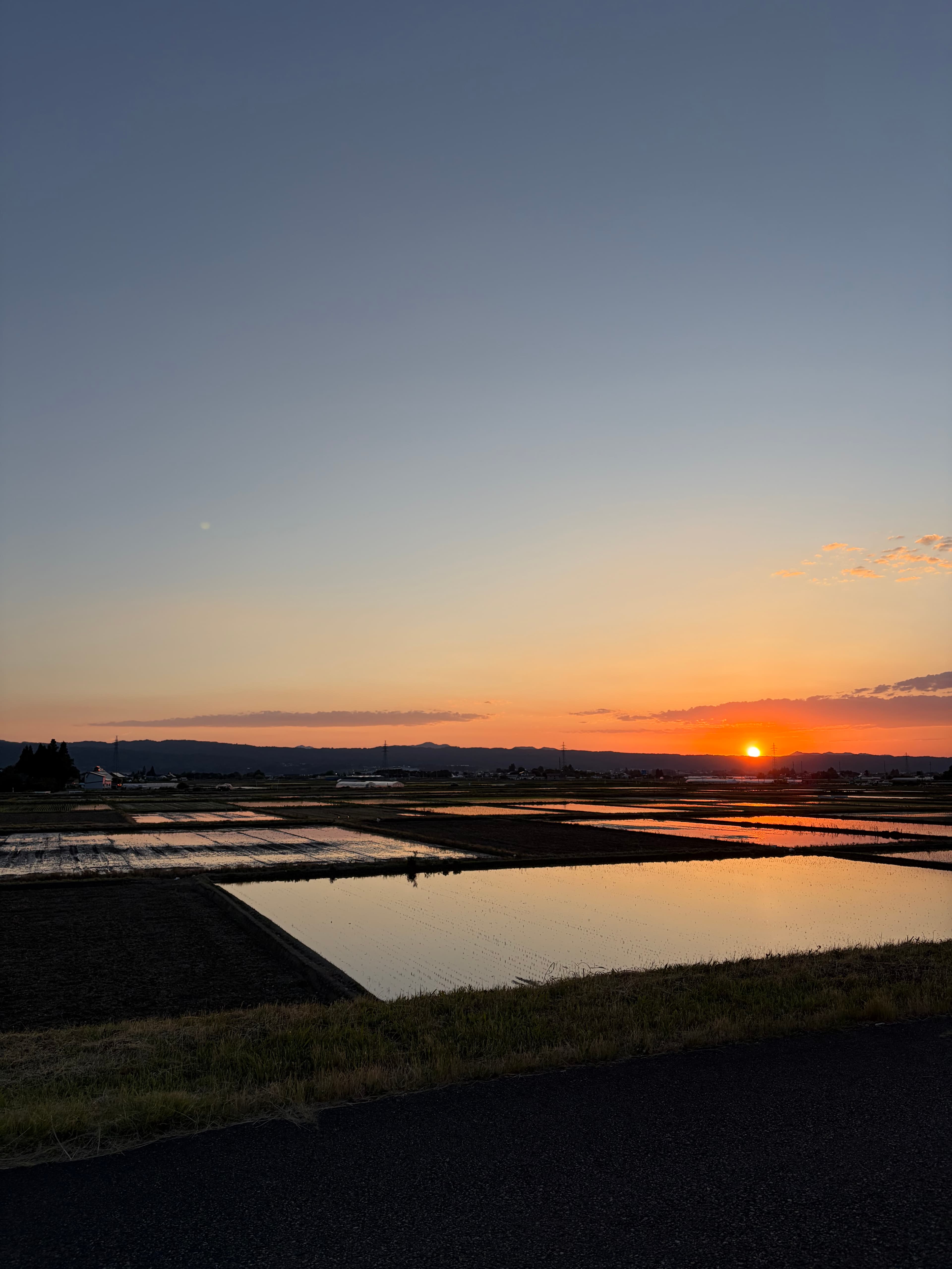 水が入った田んぼは、こんなに綺麗なんです! 3