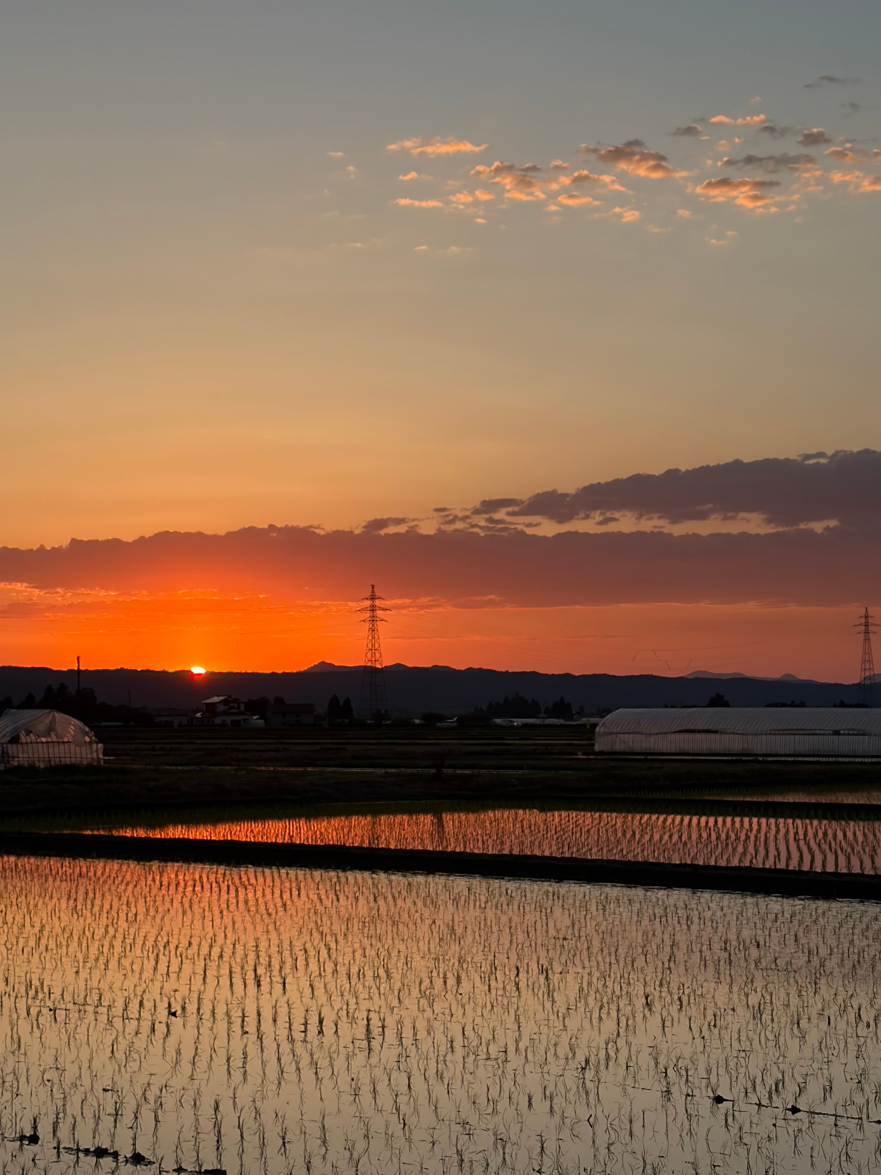 水が入った田んぼは、こんなに綺麗なんです! 5